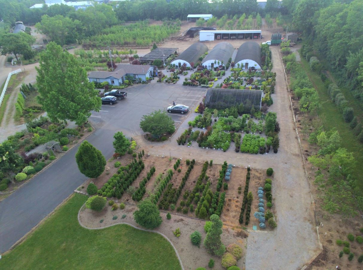 Garden Center & Tree Nursery in Nicholasville, KY Glynn Young's