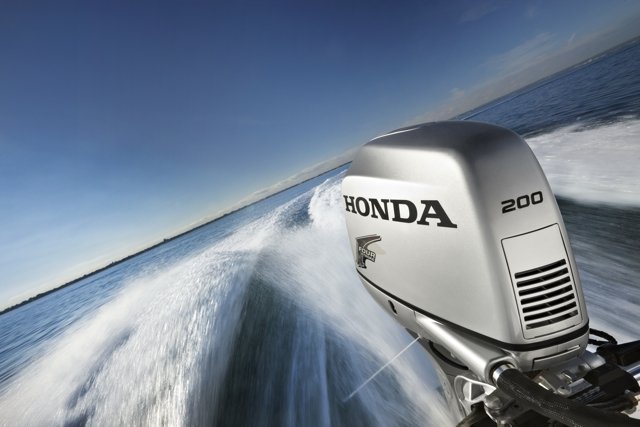 Honda_599_entire_range