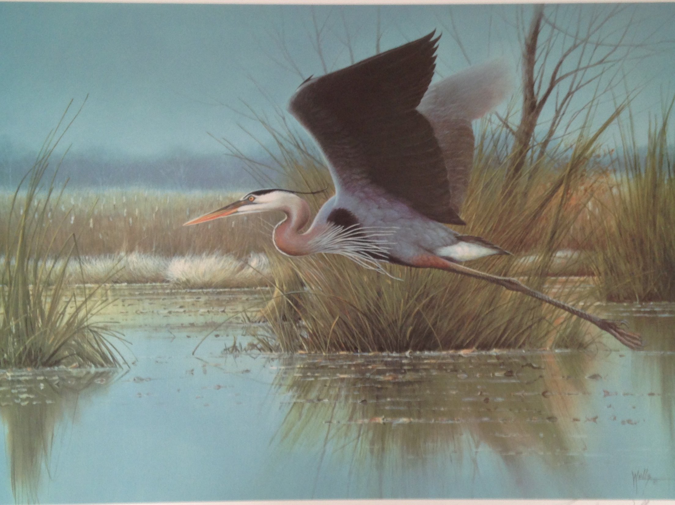 Wells Studio & Gallery Local Artist Salado, TX