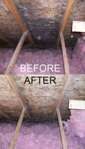 Mold Detection Kalispell Mt Complete Restoration Llc Another Issue Is That There Are Few Available Standards For Judging What An Acceptable Quany Of Mold In Any Location Some Outdoor Air
