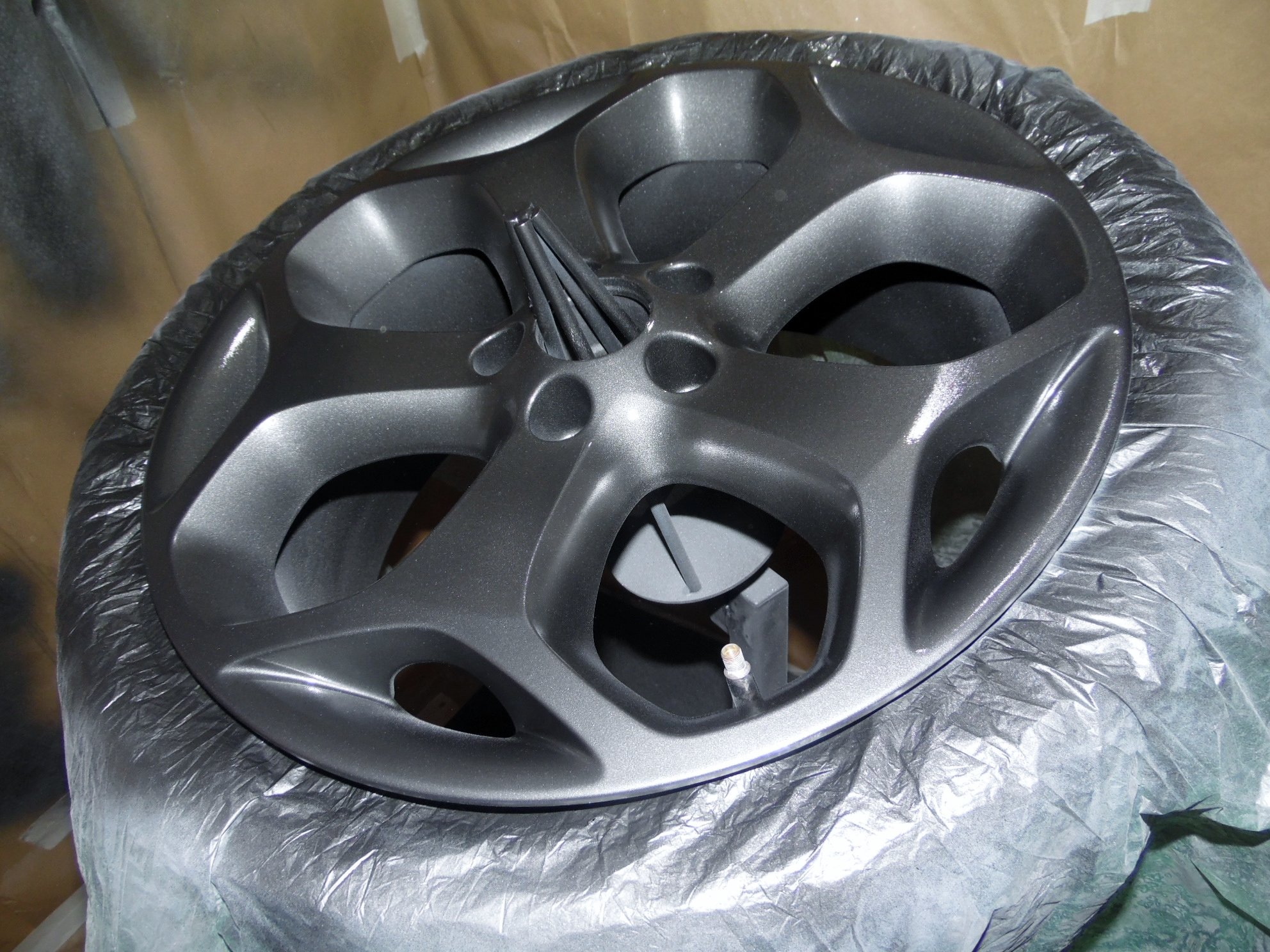 Painted Alloy Wheel