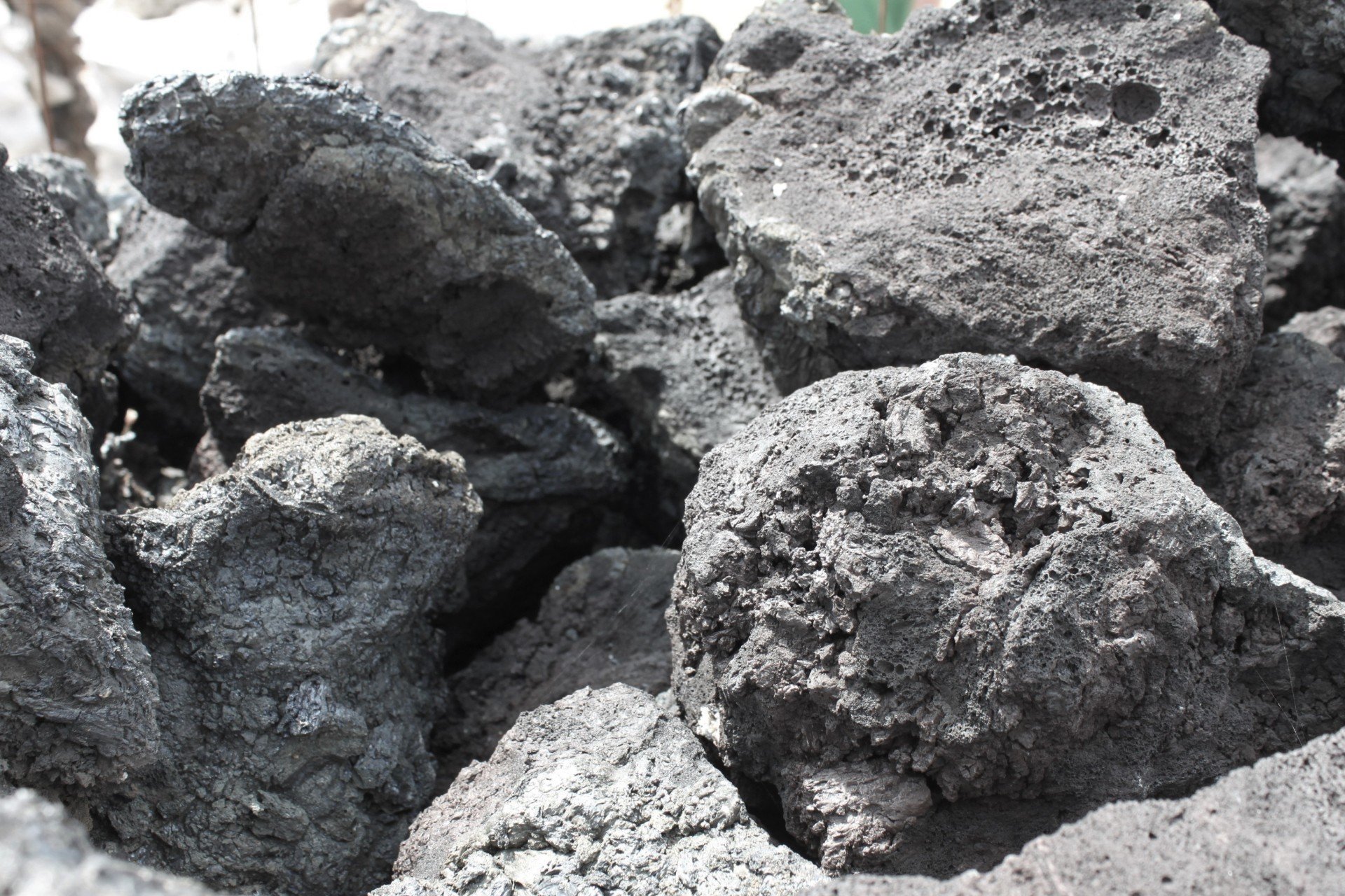 Black Volcanic Rock Aquarium Supplies in San Antonio, Texas