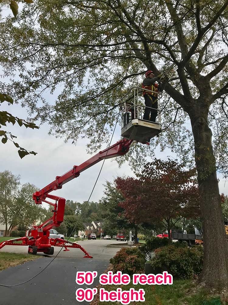 Commercial/Residentail Tree Company | Richmond, VA | Tree Care Inc.