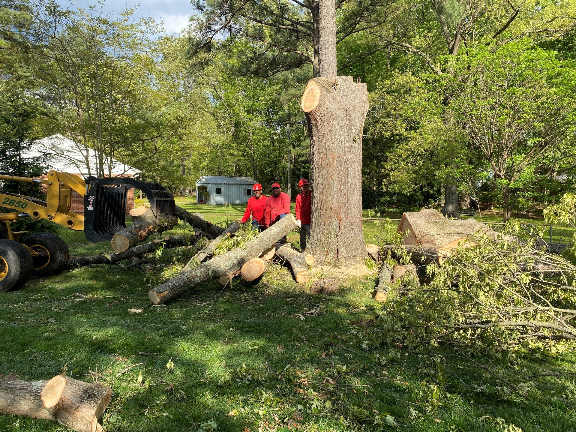 Residential Tree Services Richmond, VA Tree Care Inc.