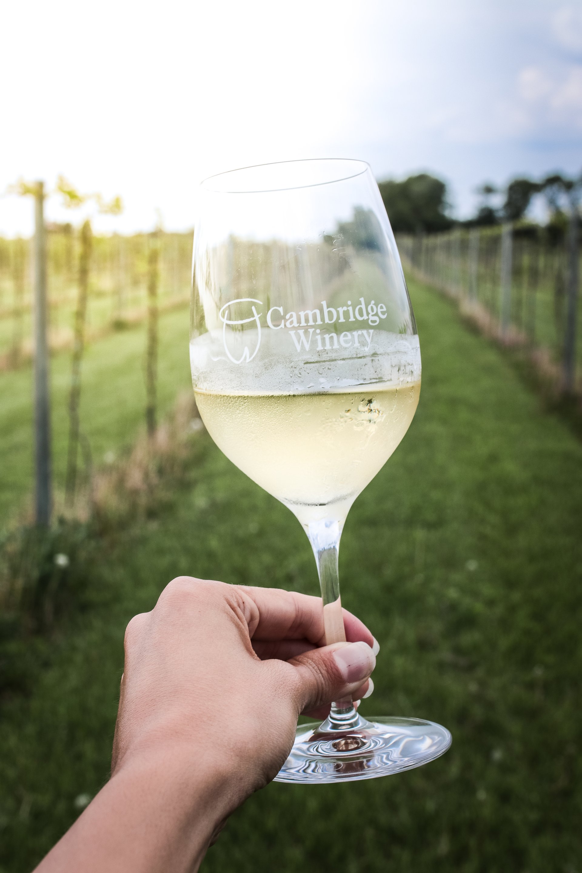 Cambridge Winery Award winning wine, event center