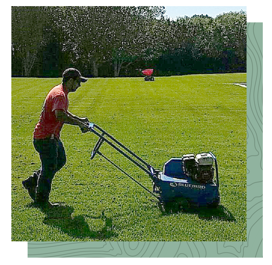 Plant & Lawn Health Lawn & Garden Services Long Island Landcrafters
