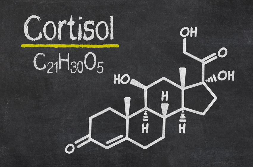 Tips on How to Reduce Cortisol Levels