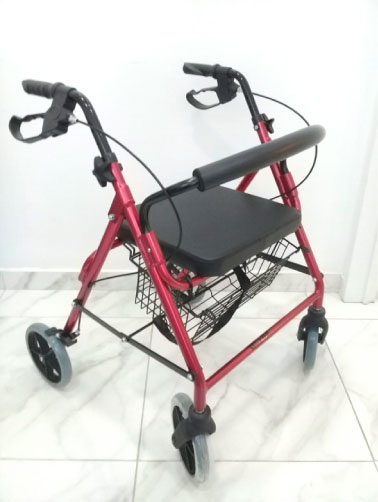 CLÍNICA DEL PIE LOURDES