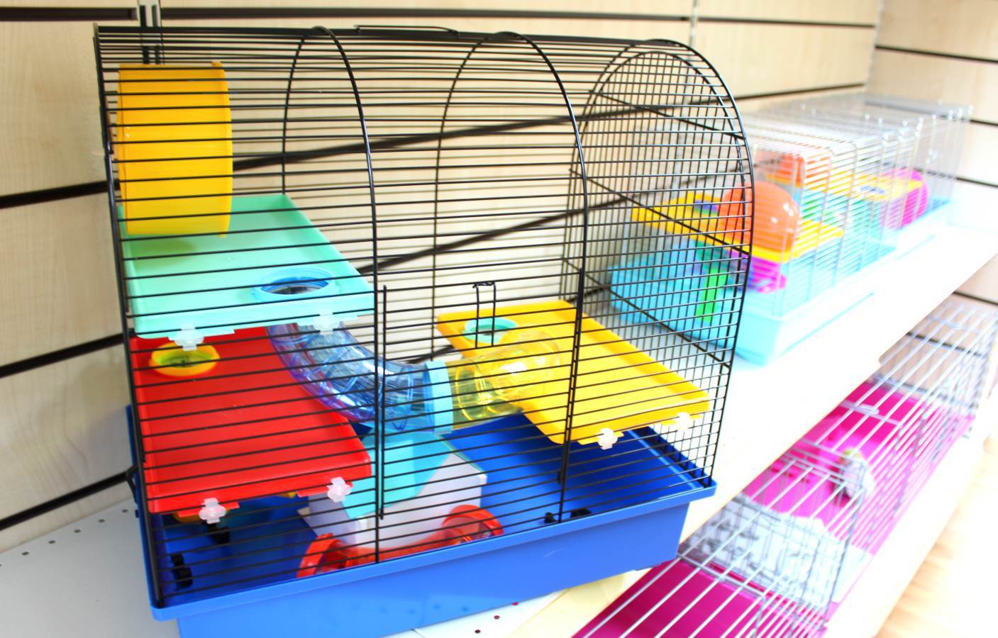 Hamsters, Pets Plus Berkshire Pet Shop Aborfield, Reading