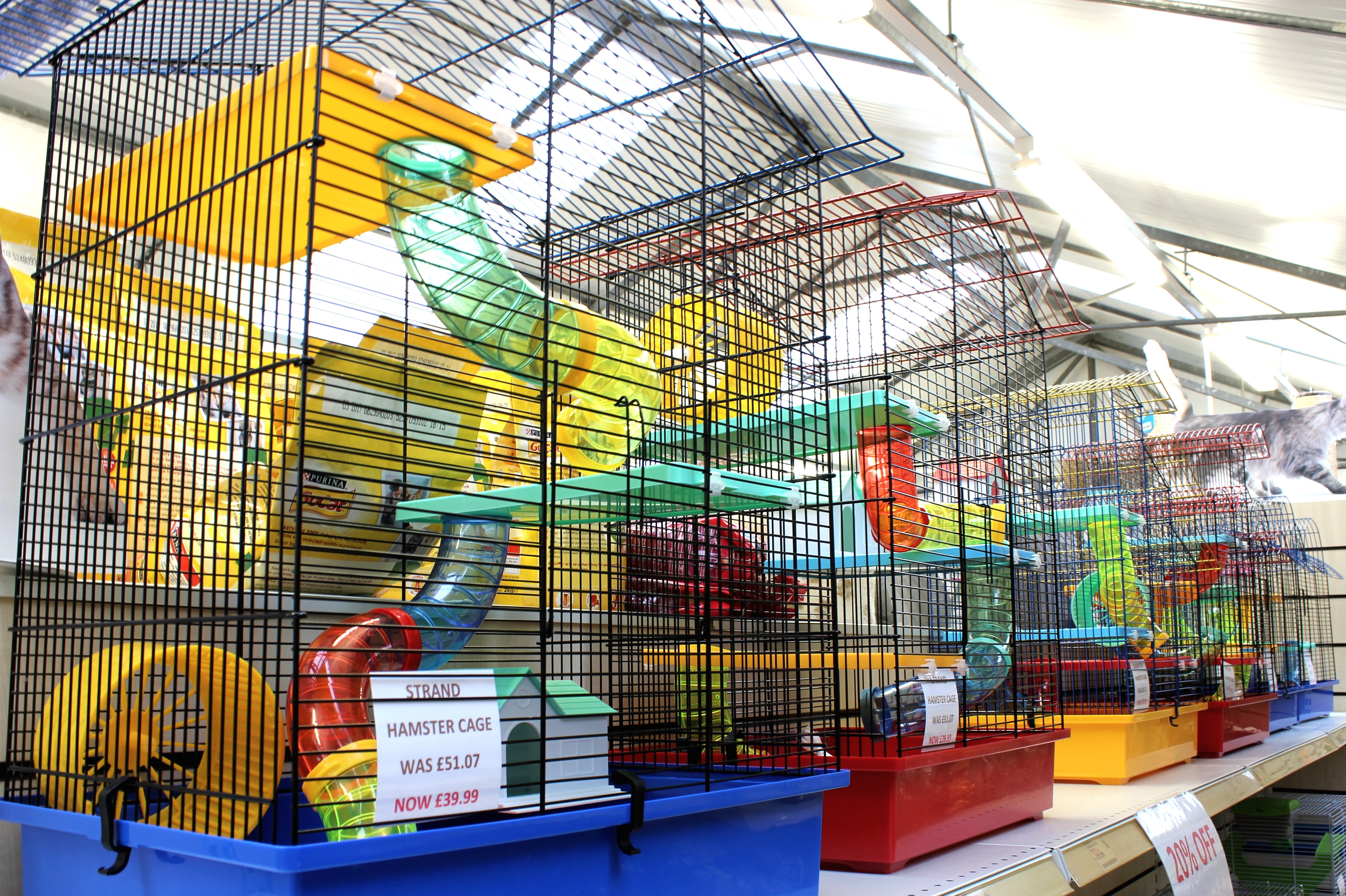 Hamsters, Pets Plus Berkshire Pet Shop Aborfield, Reading