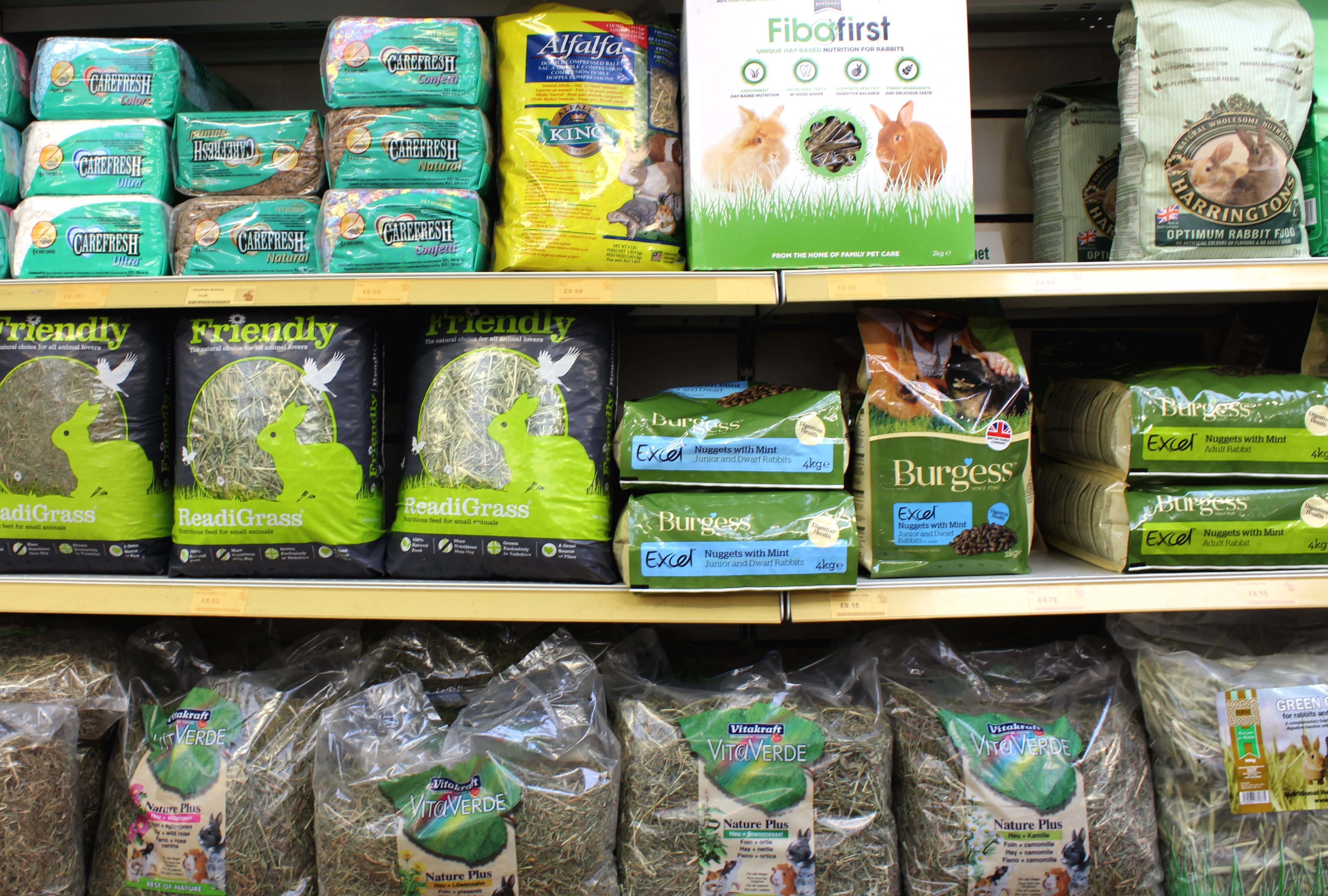 Guinea Pigs, Pets Plus Berkshire Pet Shop Aborfield