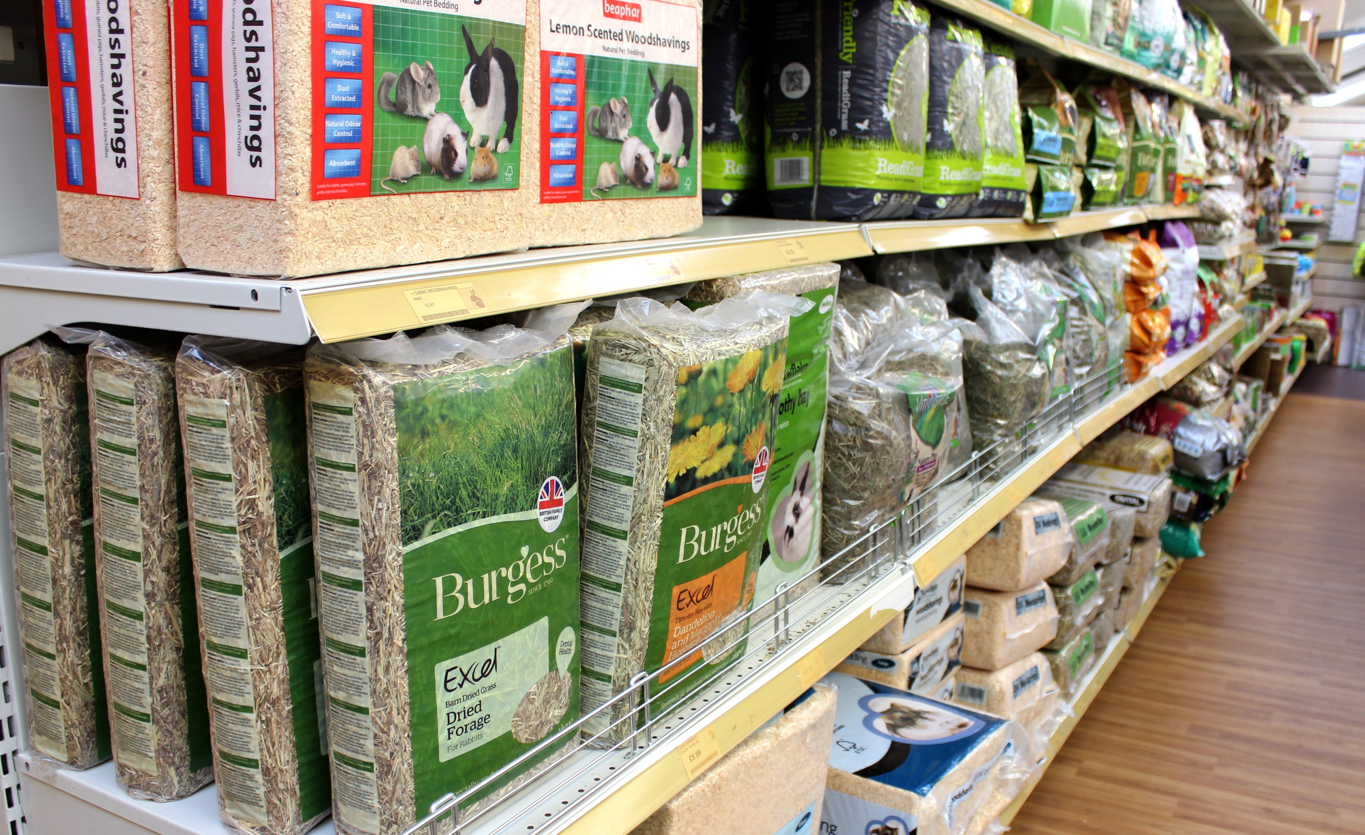 Hamsters, Pets Plus Berkshire Pet Shop Aborfield, Reading