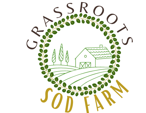 Home Blue Grass Sod | GrassRoots Farm Grand Junction CO