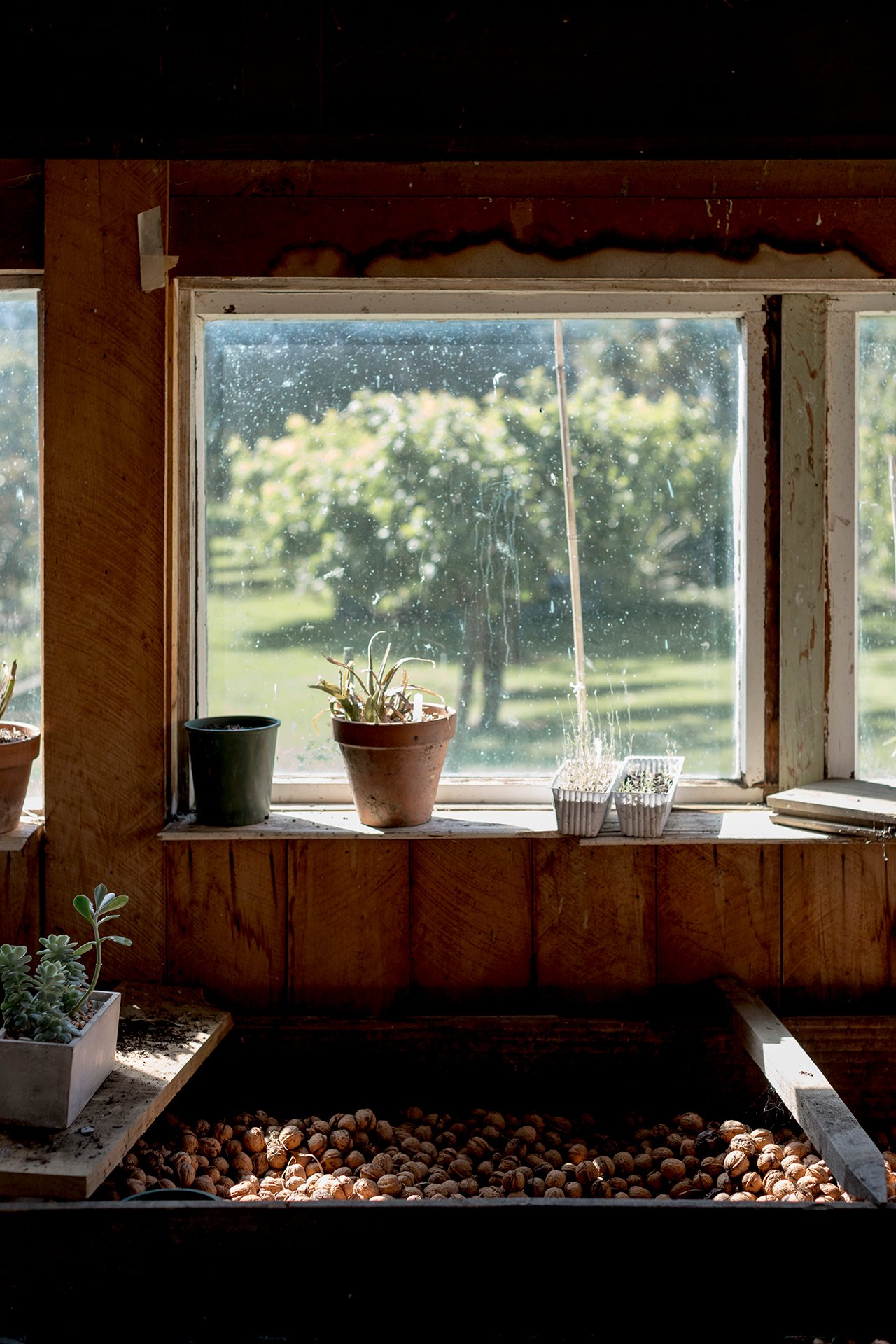 Welton House Gardens Marlborough, New Zealand Gallery