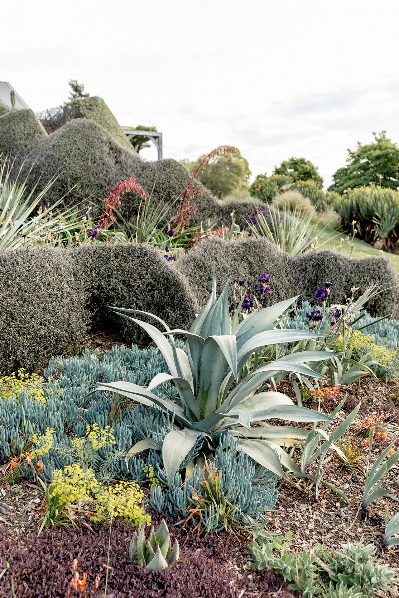 Welton House Gardens Marlborough, New Zealand Gallery