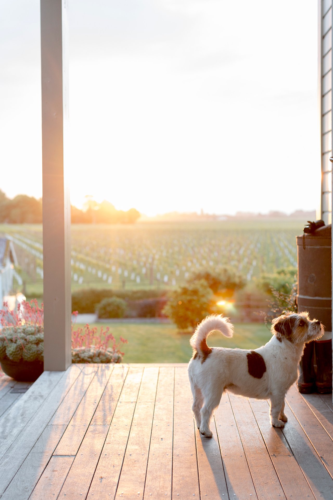 Welton House Gardens in Marlborough New Zealand