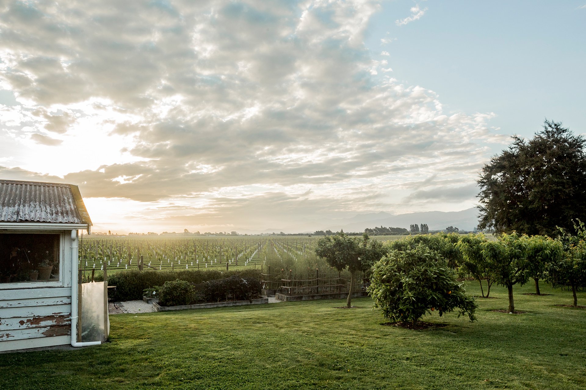 Welton House Gardens in Marlborough New Zealand