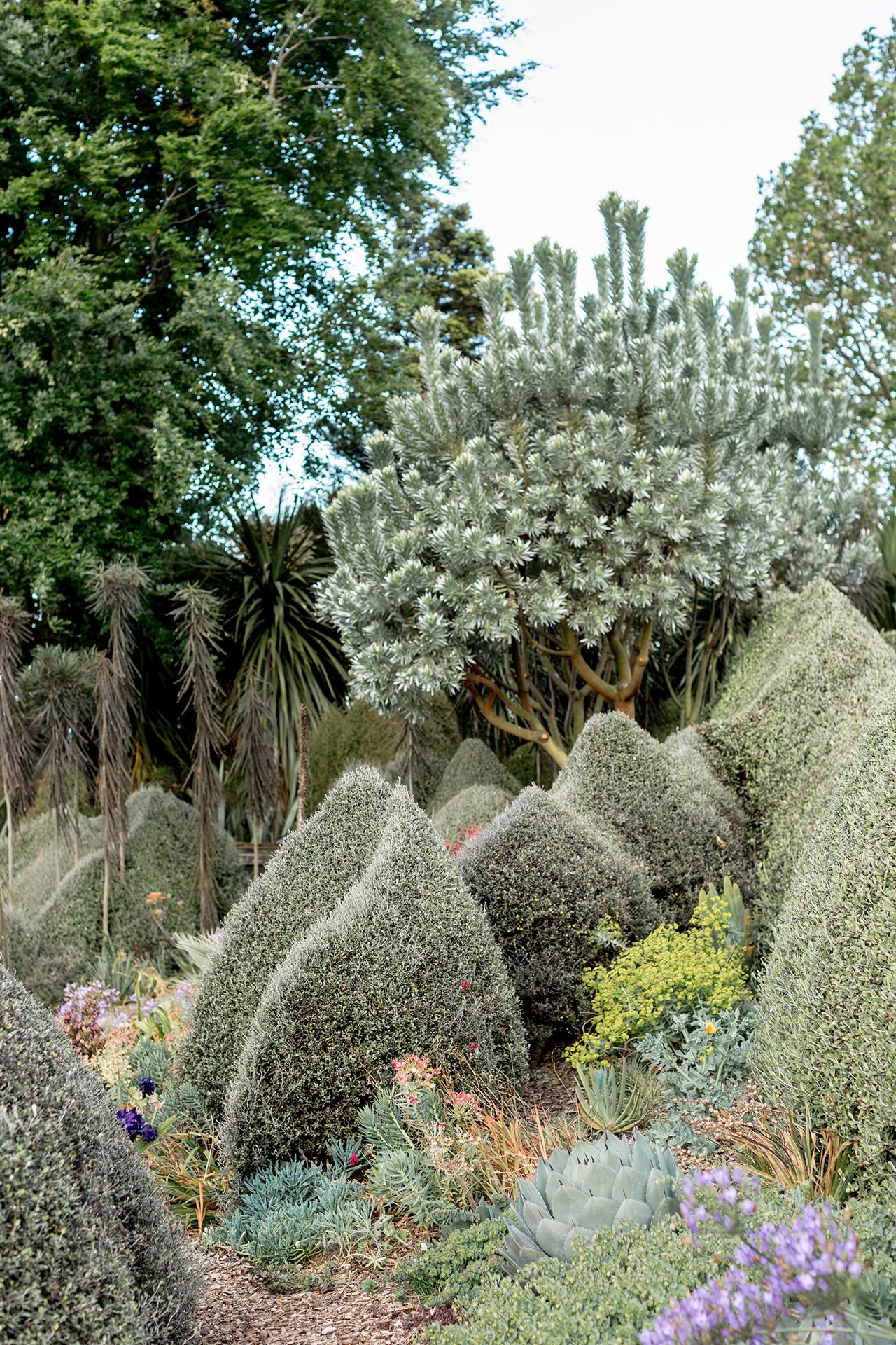 Welton House Gardens in Marlborough New Zealand