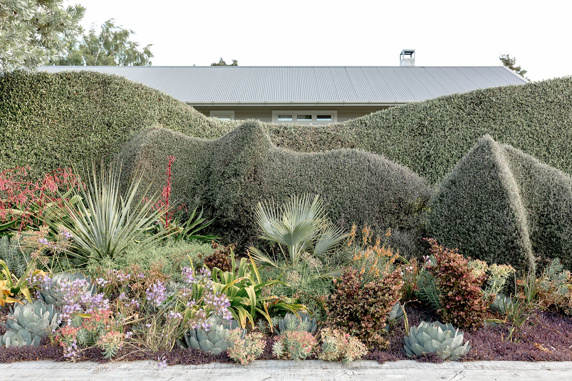 Welton House Gardens in Marlborough New Zealand