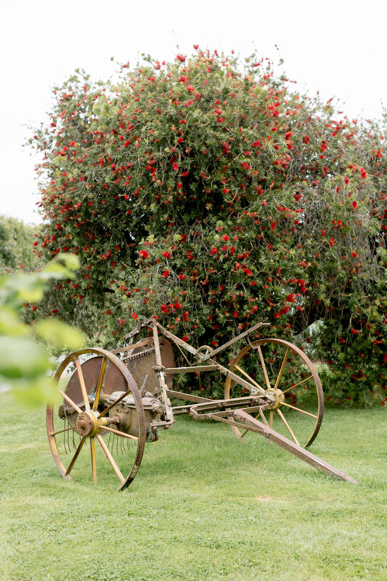 Welton House Gardens in Marlborough New Zealand