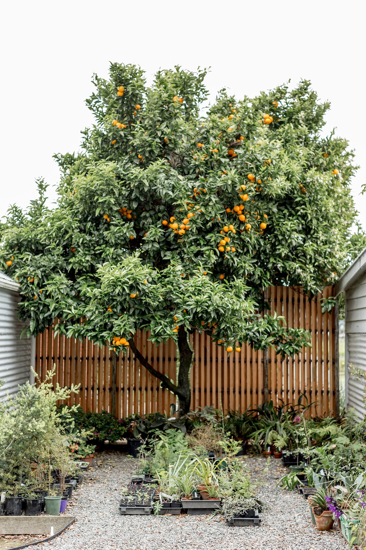 Welton House Gardens in Marlborough New Zealand
