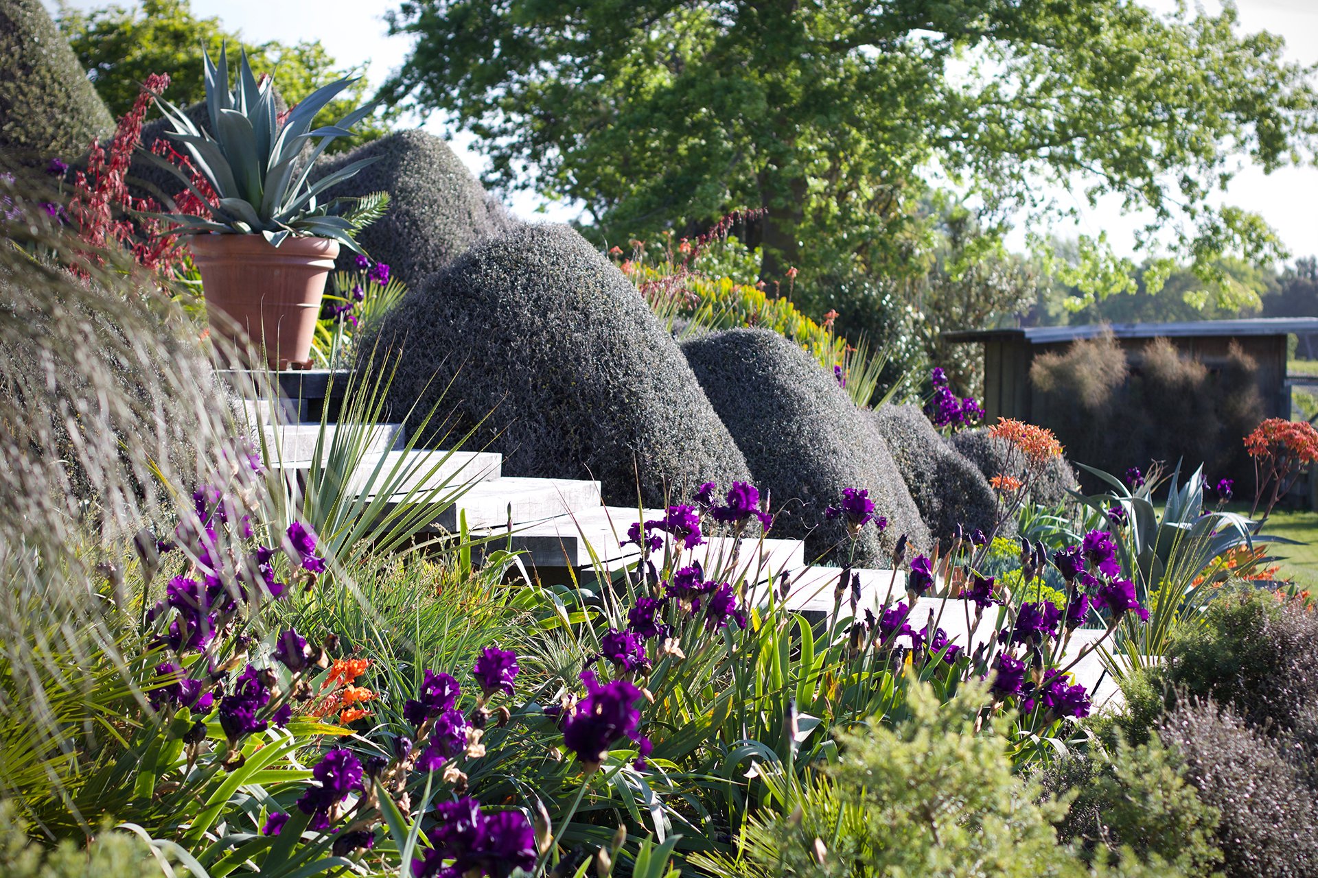 Welton House Gardens in Marlborough New Zealand