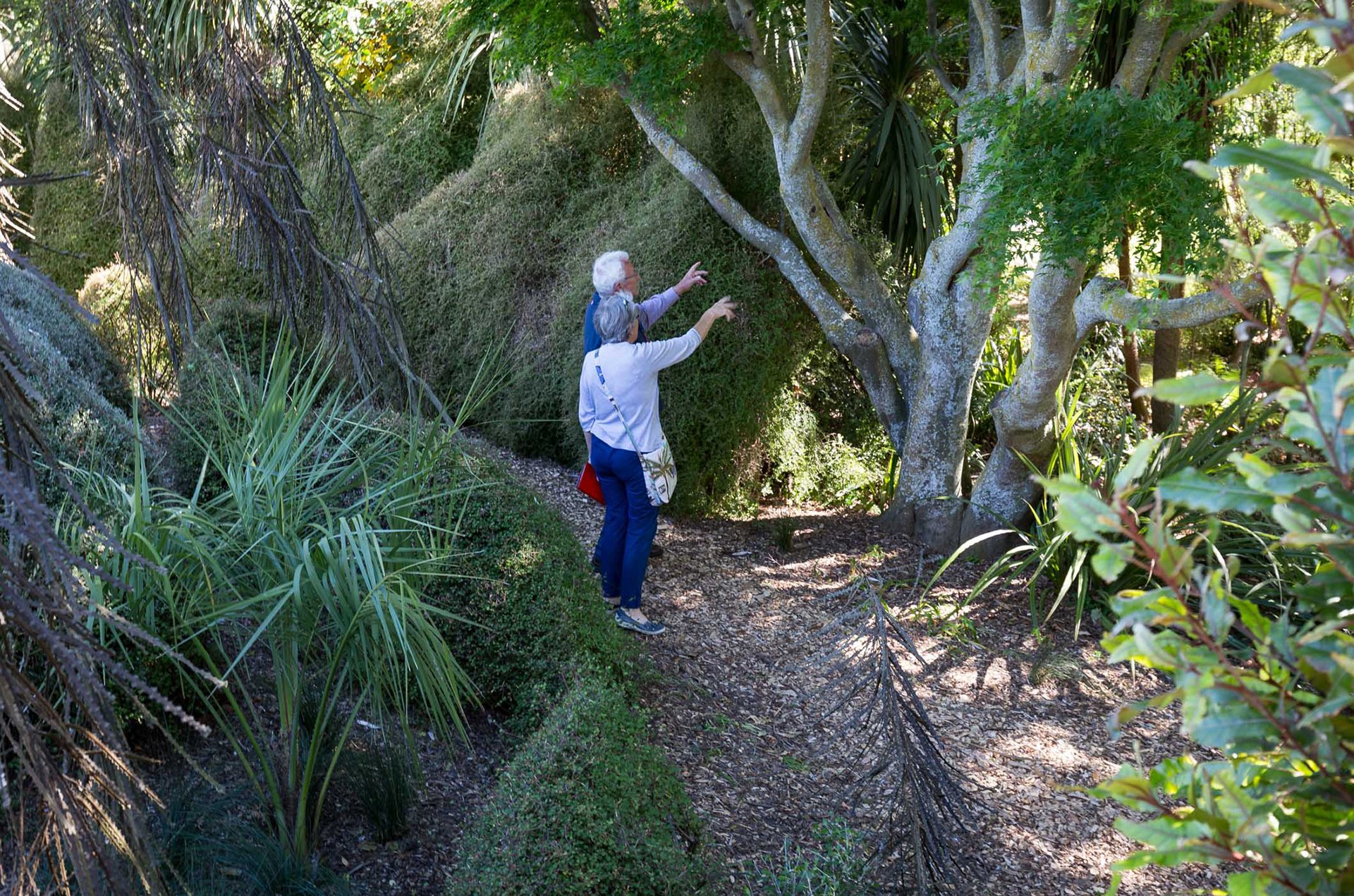 Welton House Gardens in Marlborough New Zealand