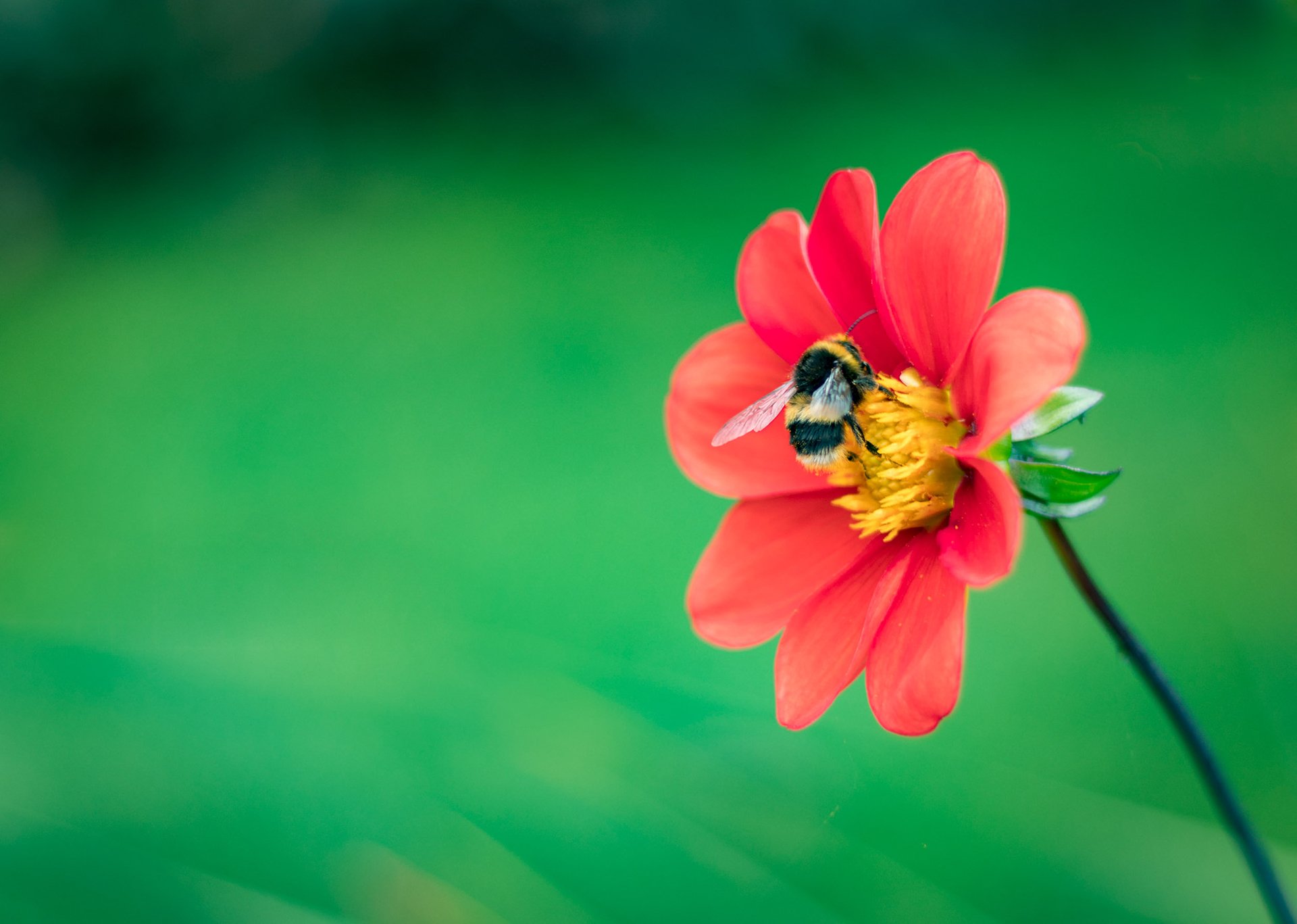 Welton House Gardens in Marlborough New Zealand