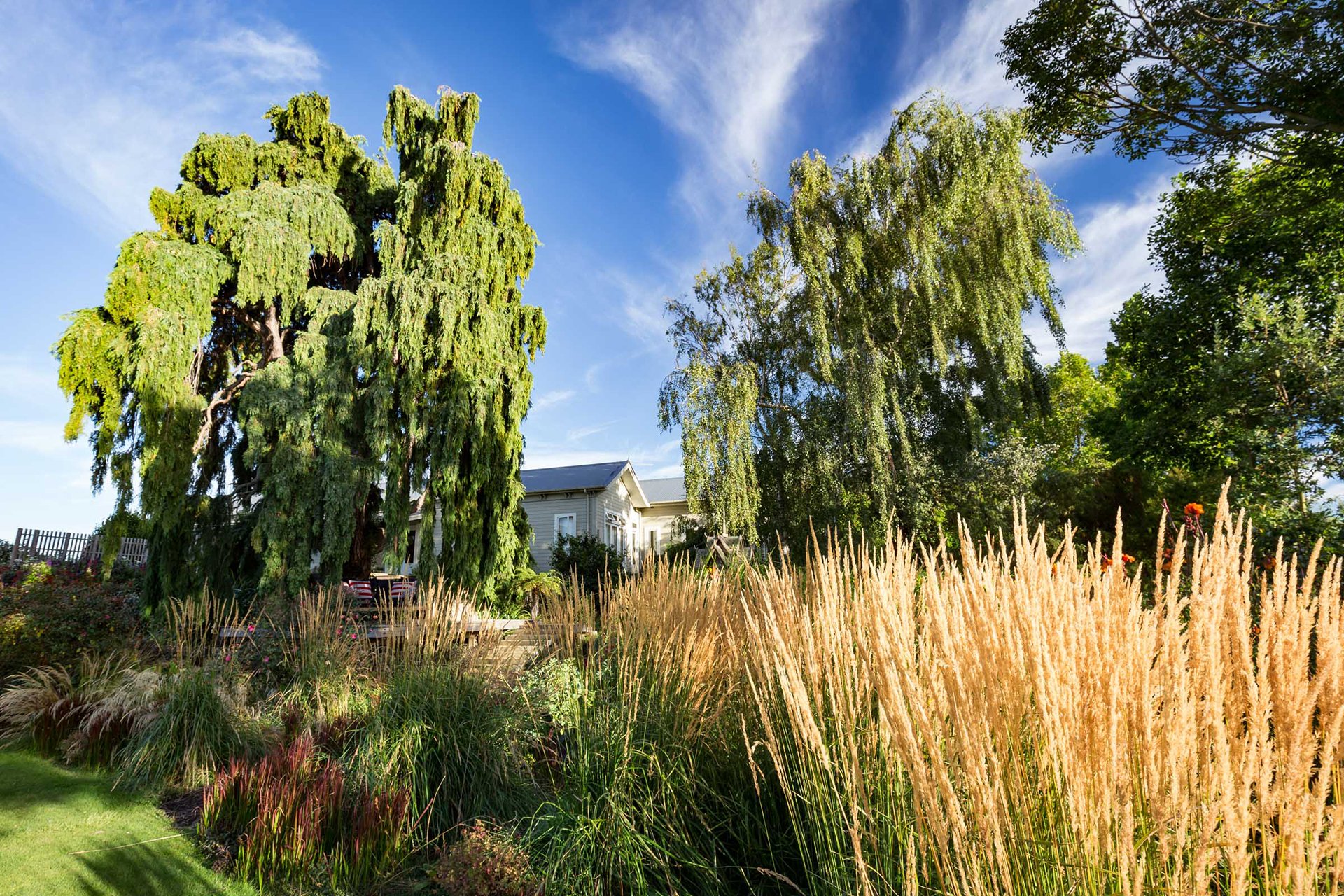 Welton House Gardens in Marlborough New Zealand