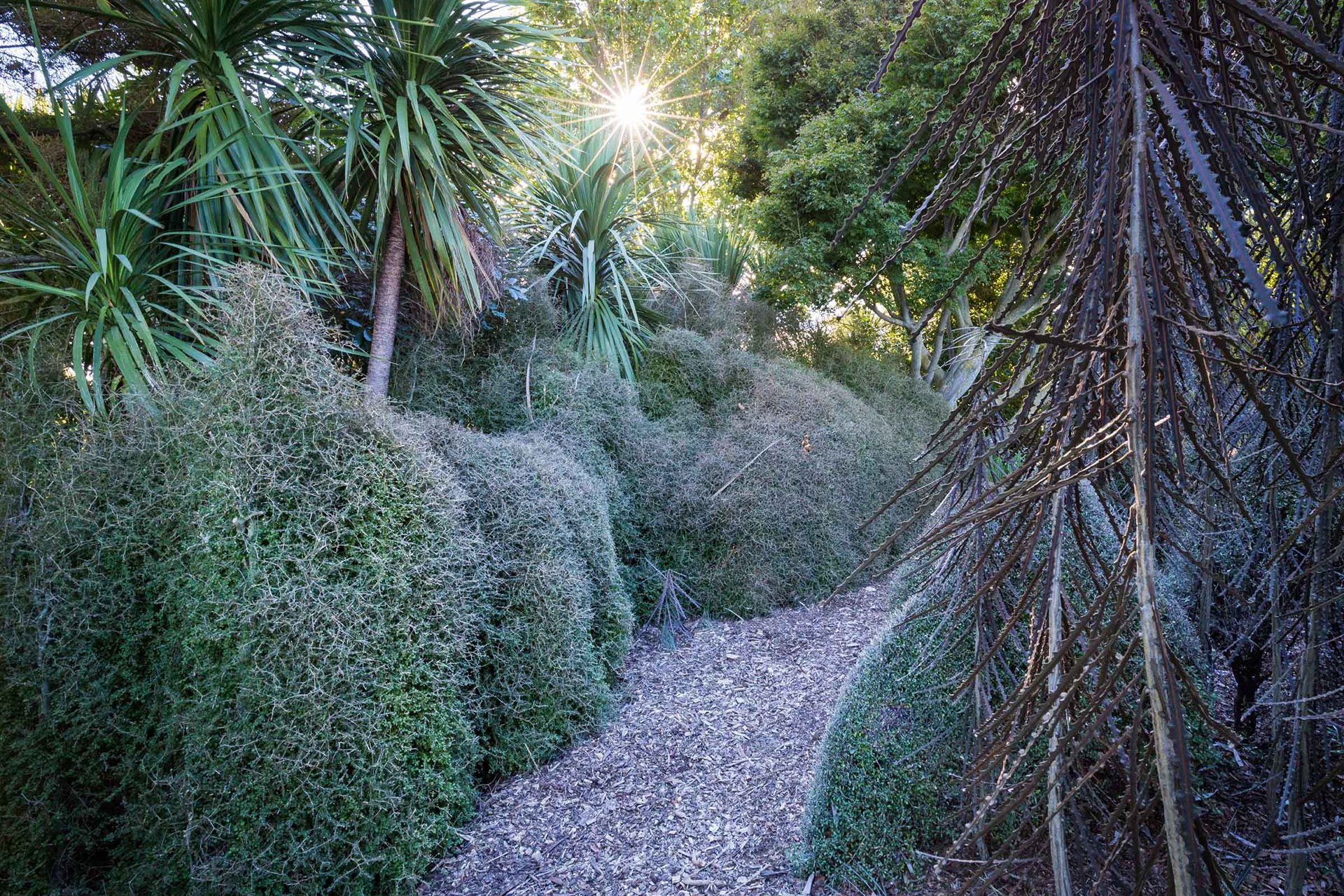 Welton House Gardens in Marlborough New Zealand
