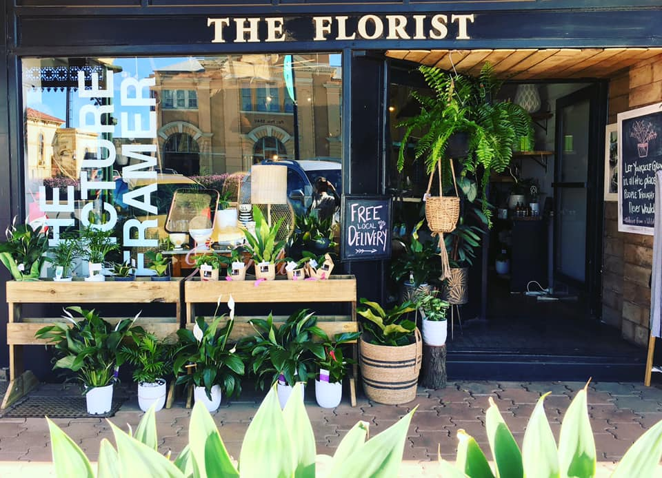 The Picture Framer in Bloom