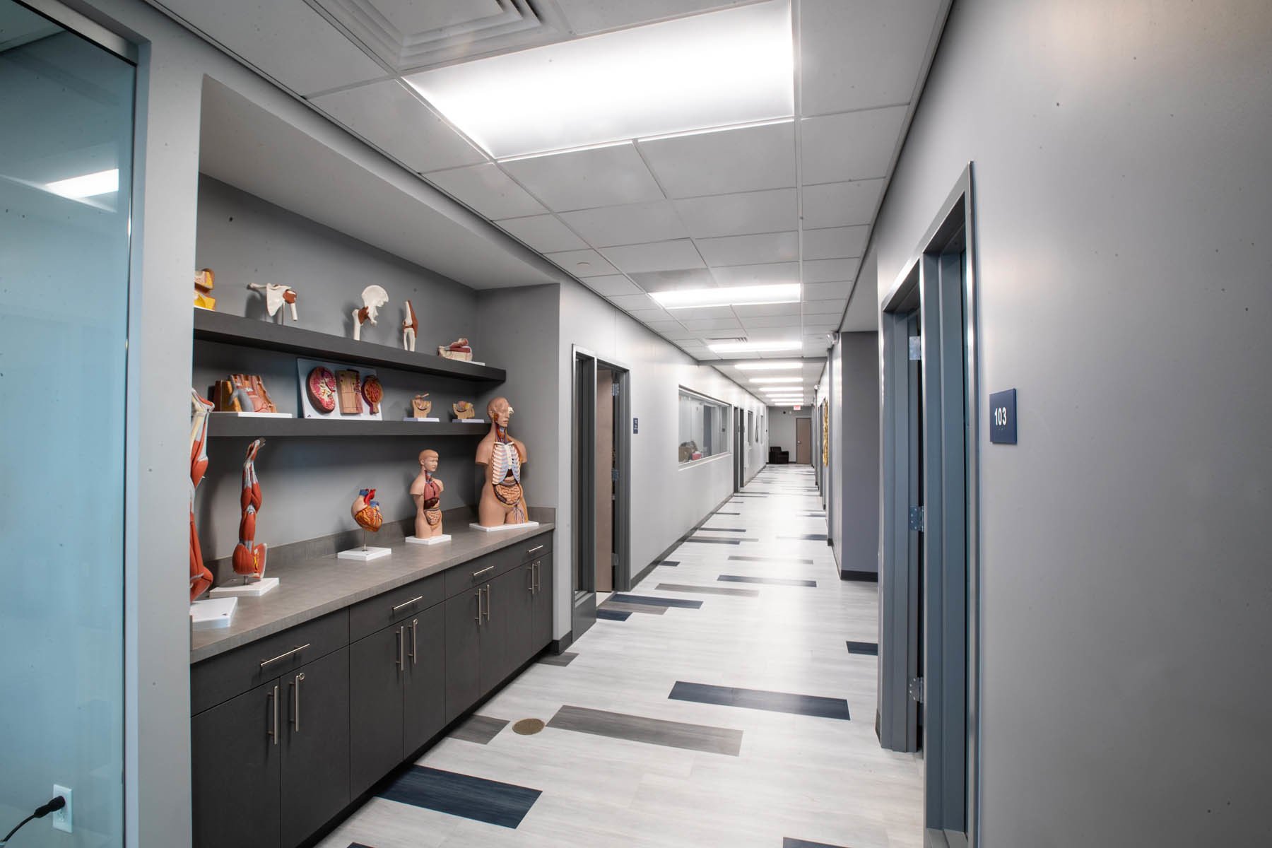 Bryant & Stratton College Clay Architectural Design Architectural