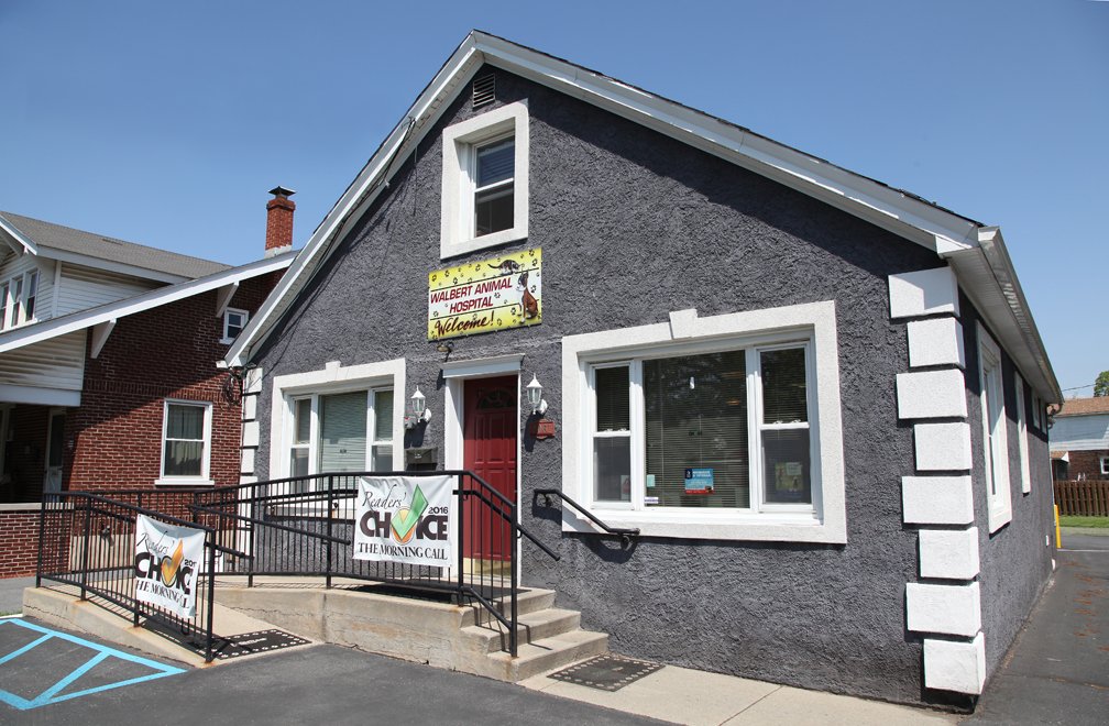 Animal Doctor Allentown, PA Veterinary Medical Facility