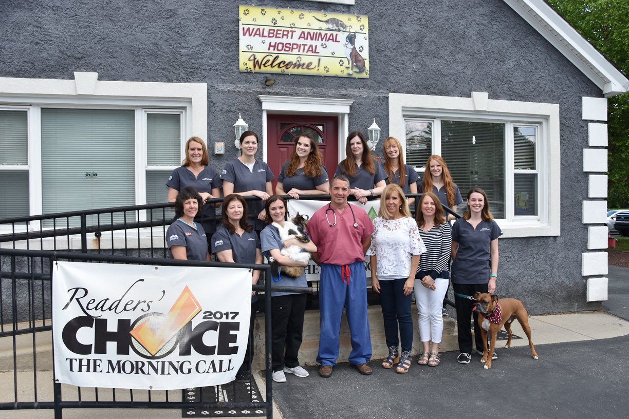 Local Veterinarian Allentown, PA Cat & Dog Vet