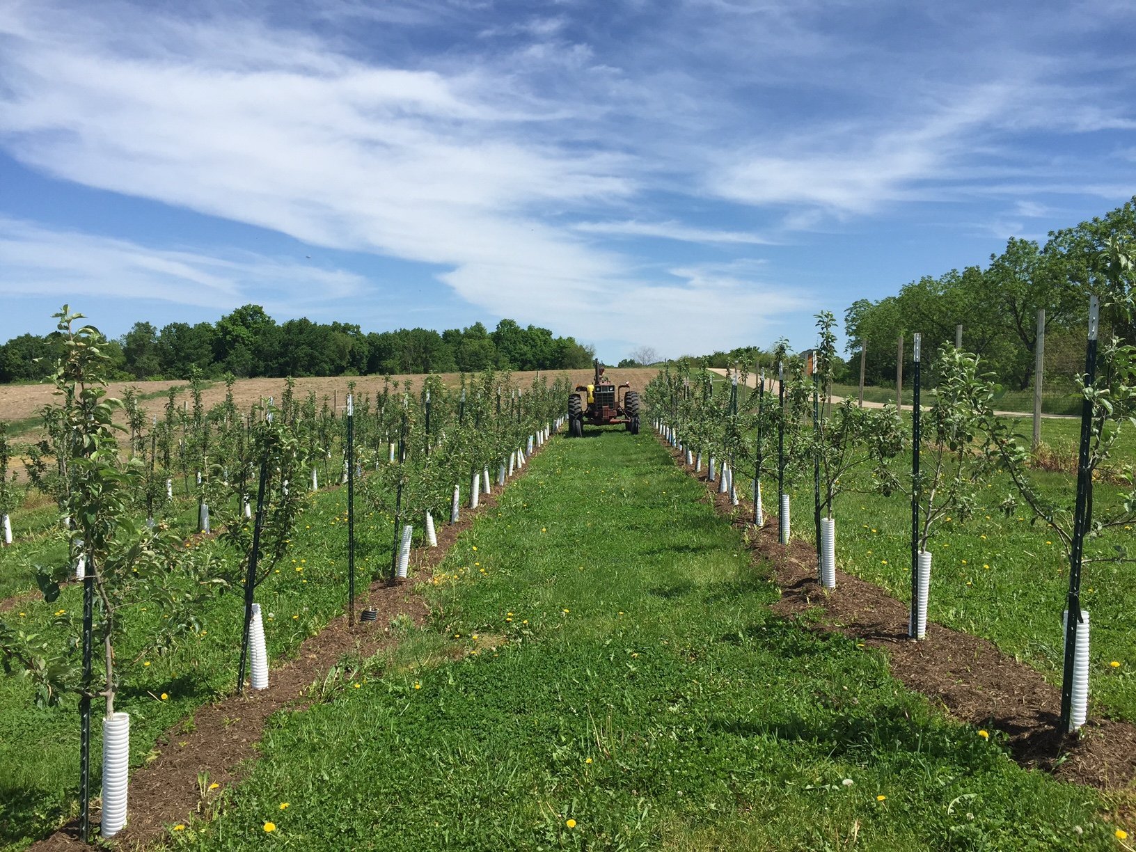 Wisconsin Apple Orchards