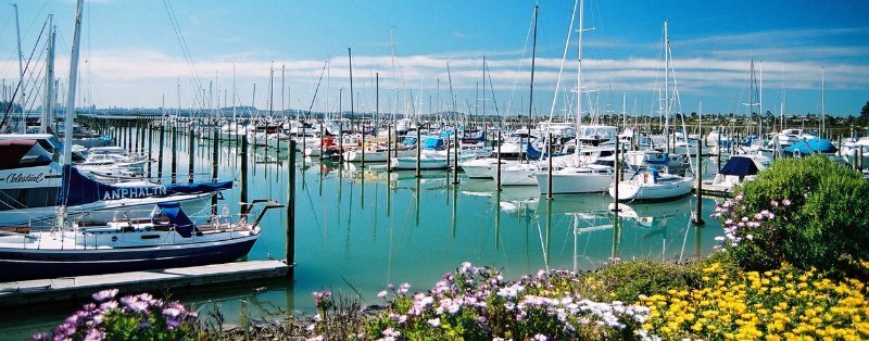View of Auckland bay