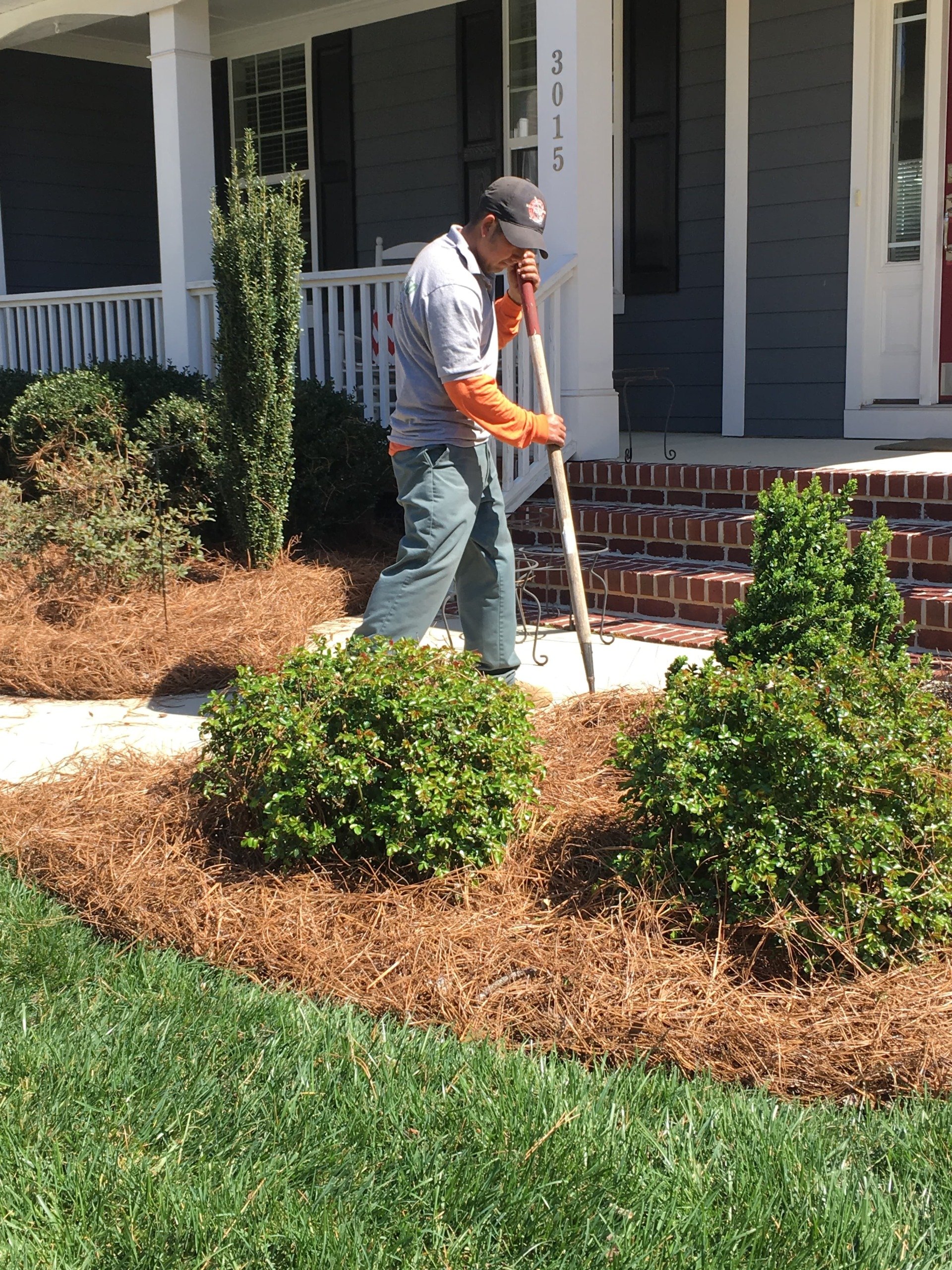 Best Pine Straw Installation Service Near Me In Sanford, NC GGL