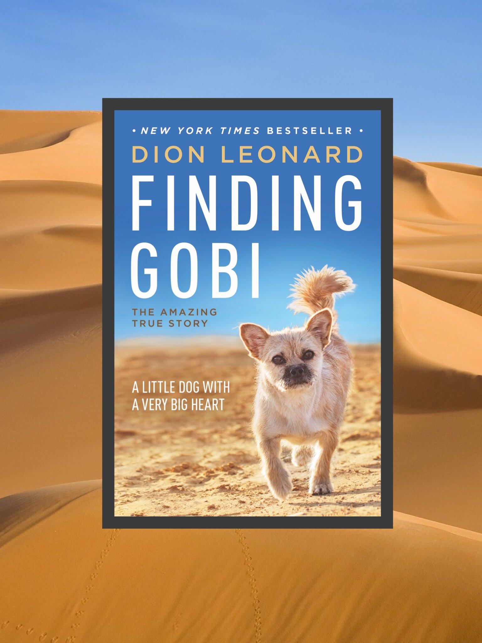 Finding Gobi Dion Leonard Dion Leonard Gobi the Dog Finding Gobi Book