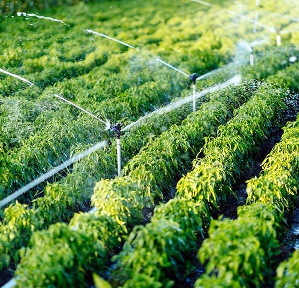 Water Pumps in Coffs Harbour NSW