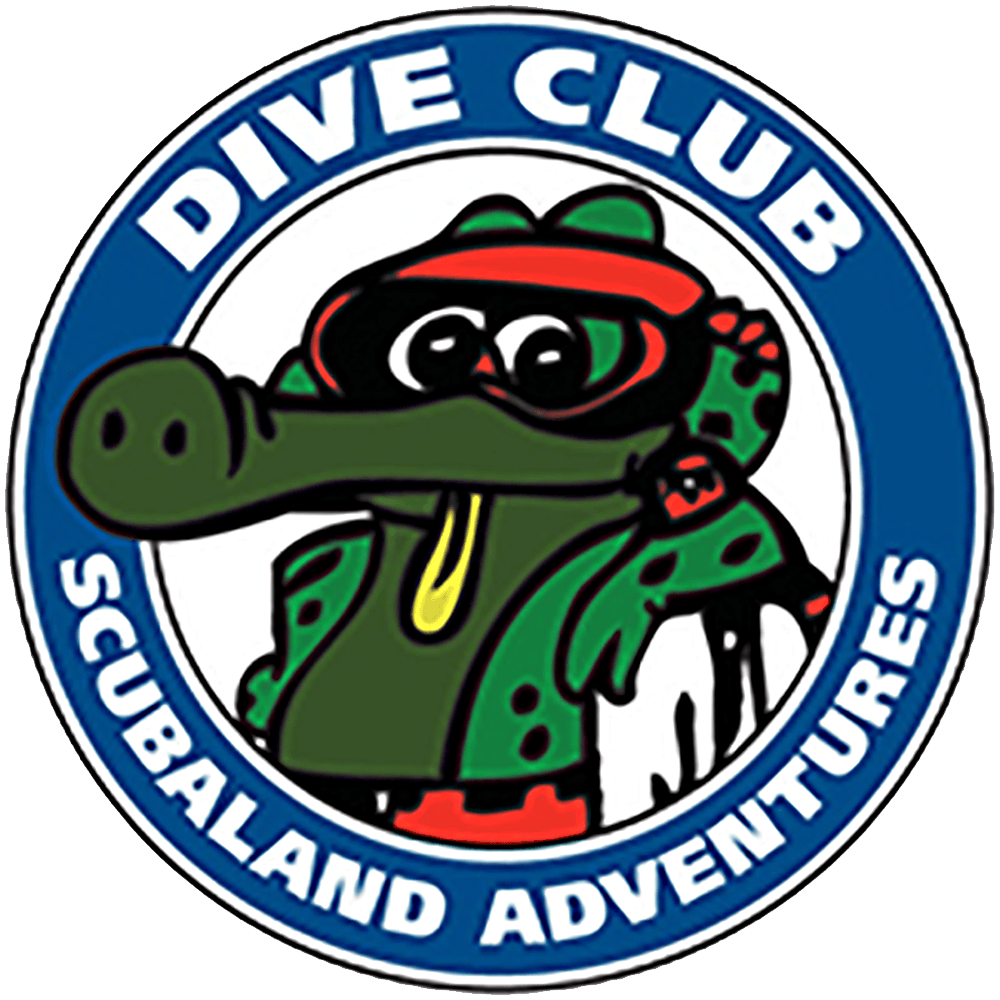 Dive Club