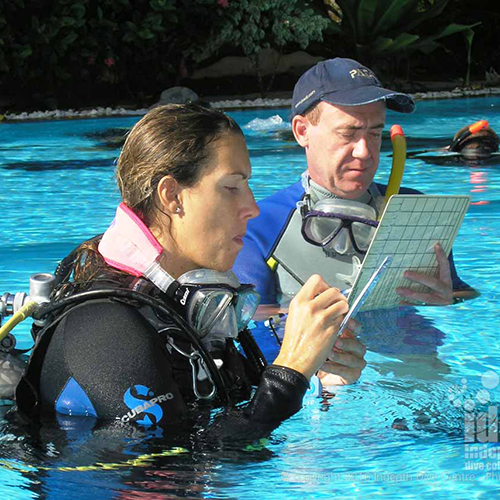 PADI Master SCUBA Diver Trainer and PADI Specialty Instructor Courses
