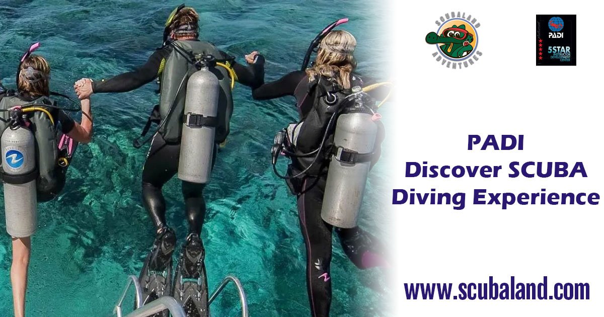 PADI Discover SCUBA Diving Experience Scubaland Adventures