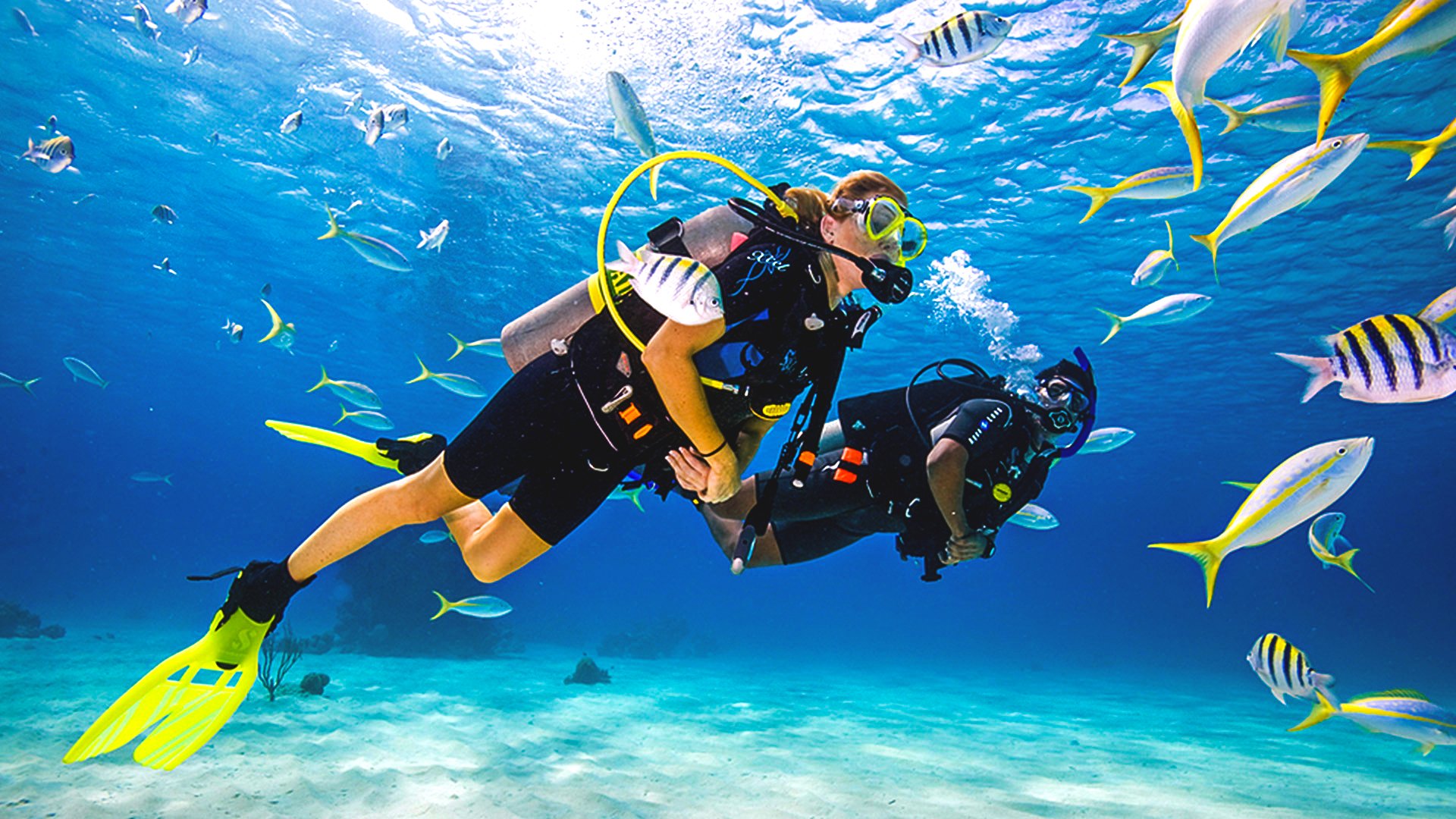 PADI Discover SCUBA Diving Experience Scubaland Adventures