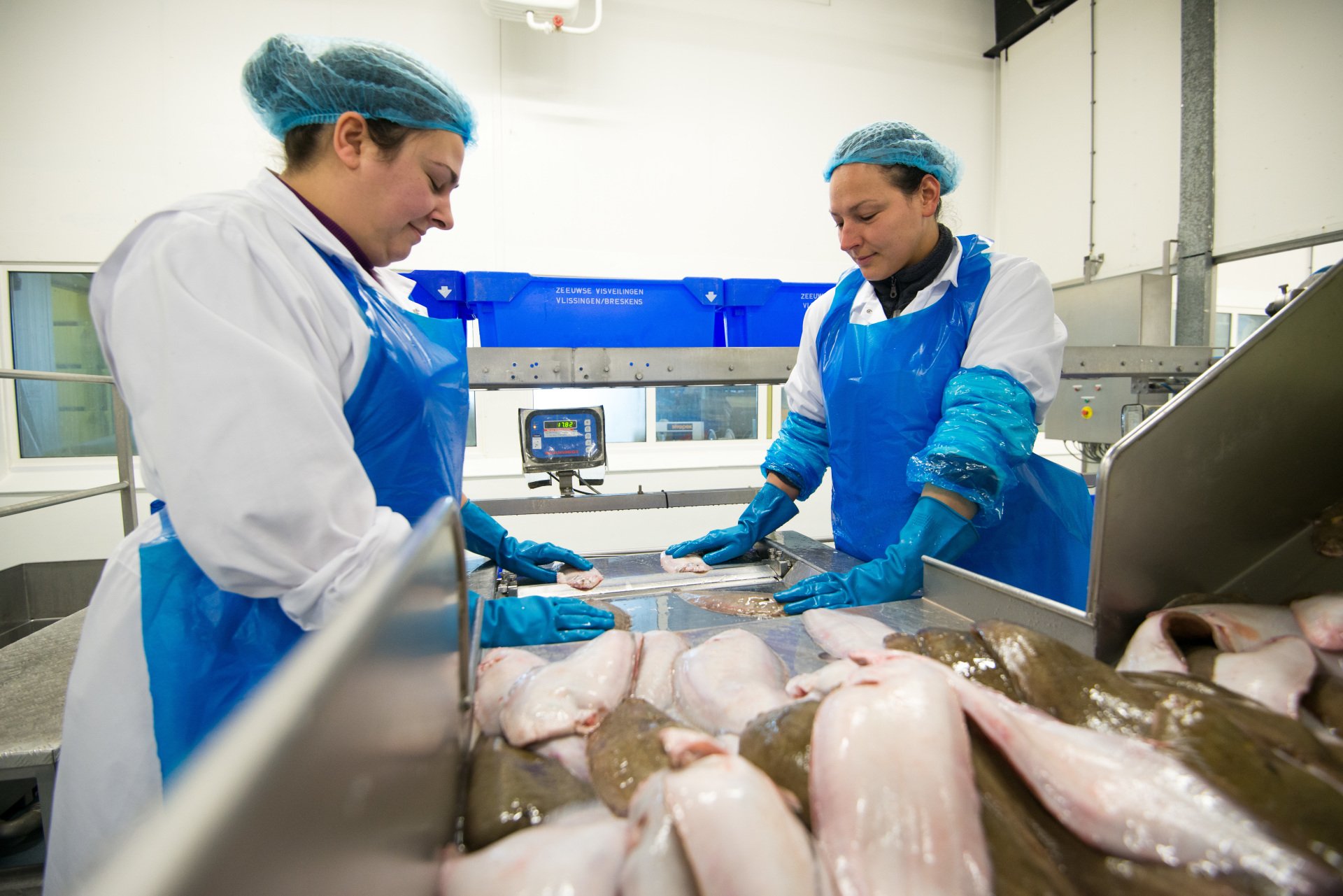 BertusDekker Seafood B.V.