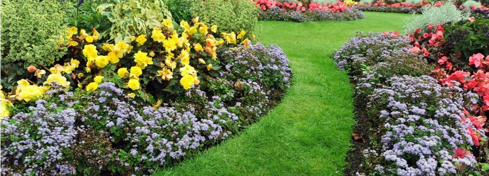 Le 8 regole base per progettare un giardino Realizzare un giardino