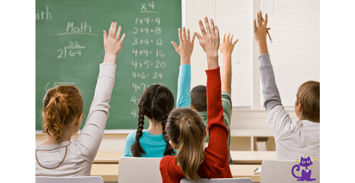 Dms homework blog
