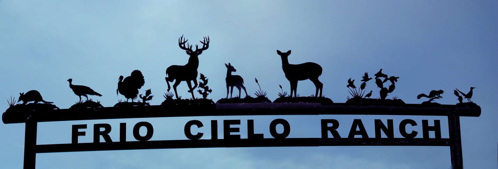 Frio Cielo Ranch, reagan Wells, Tx.