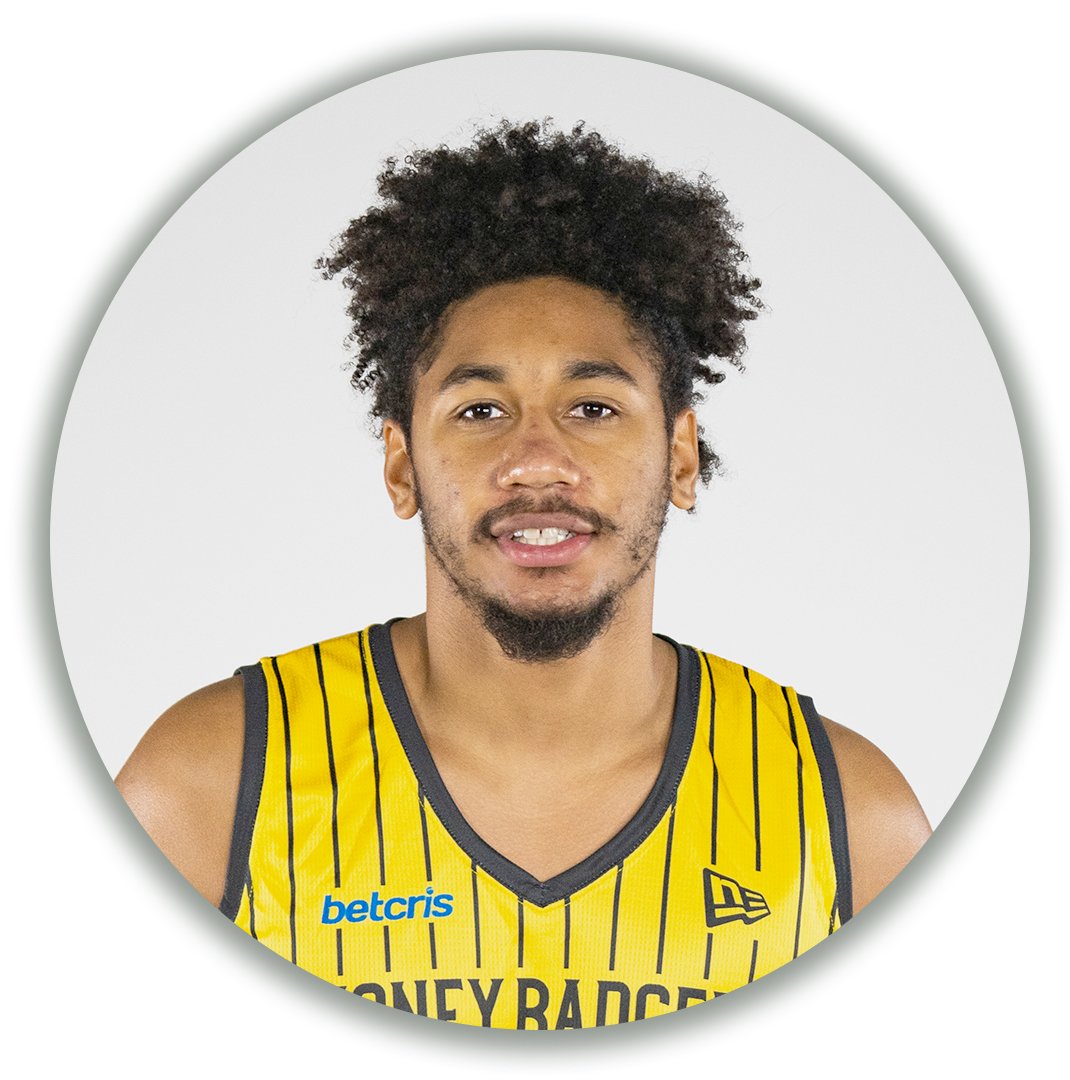 Brampton Honey Badgers