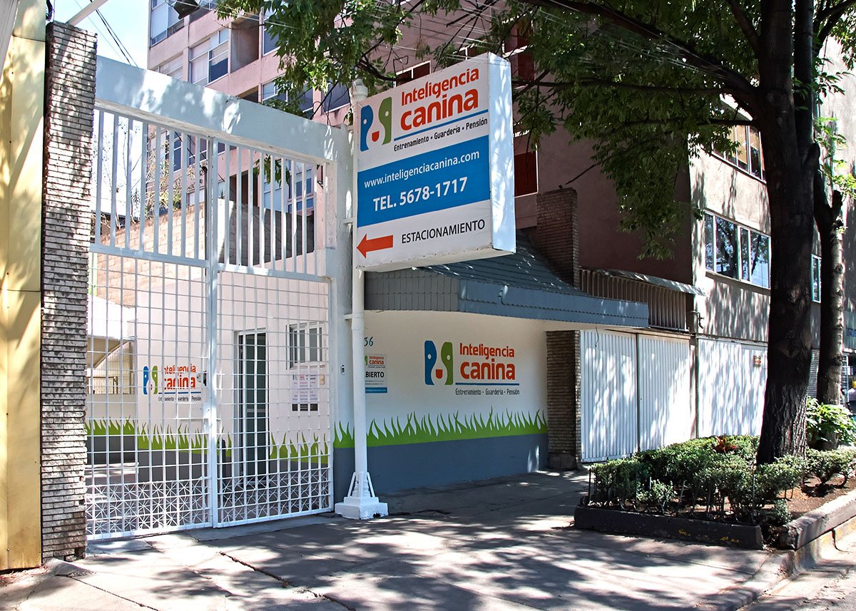 Escuela para Perros Roma Condesa CDMX Adiestramiento Canino