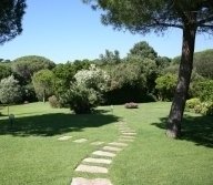 sentiero lungo il giardino